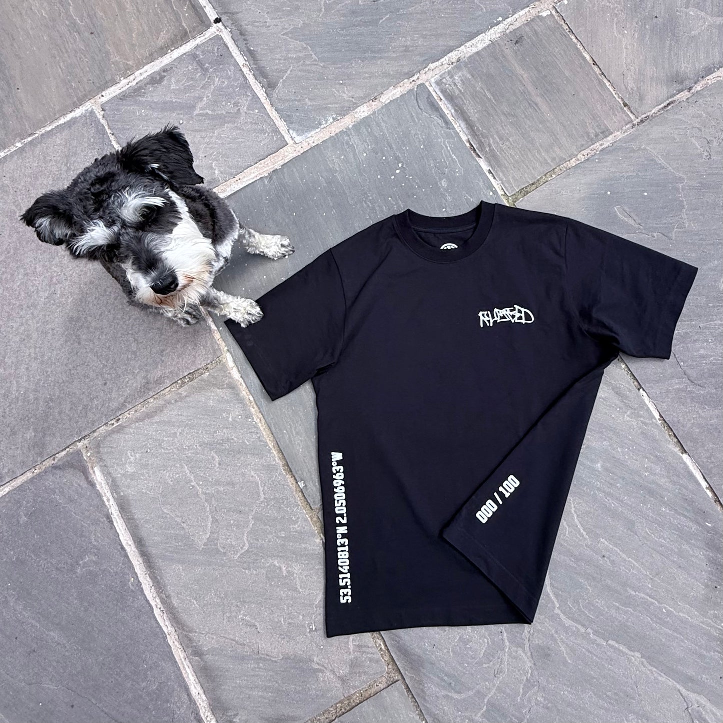TAG 2 T-SHIRT EPISODE 1