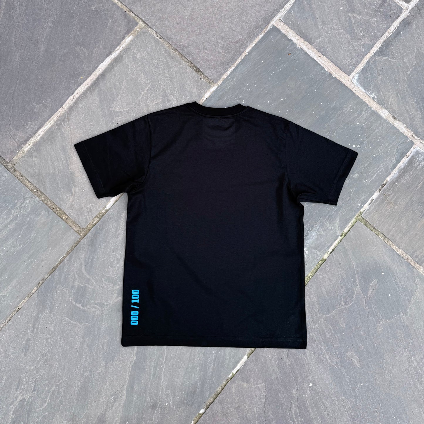 ROVER'S CREST BLUE EDITION 100