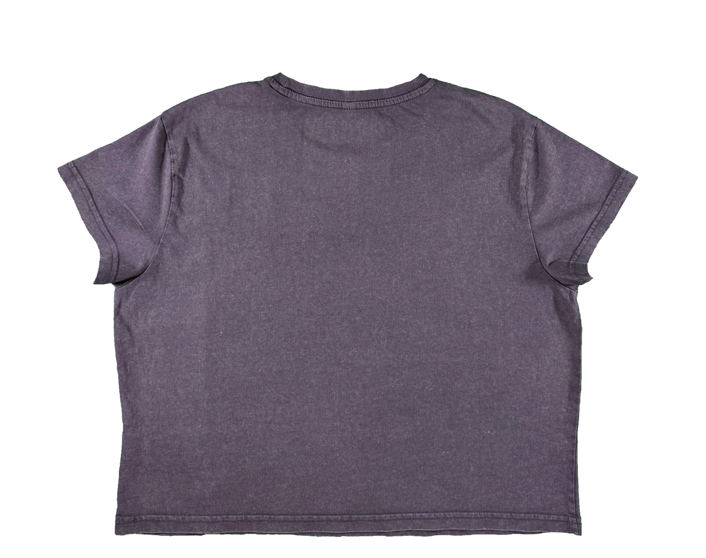 Vintage Grey Cropped Tee Metallic Rose Puff